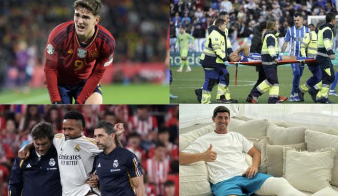 市场的宠儿 市场的宠儿